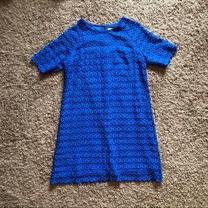 Royal Blue Professional Dress